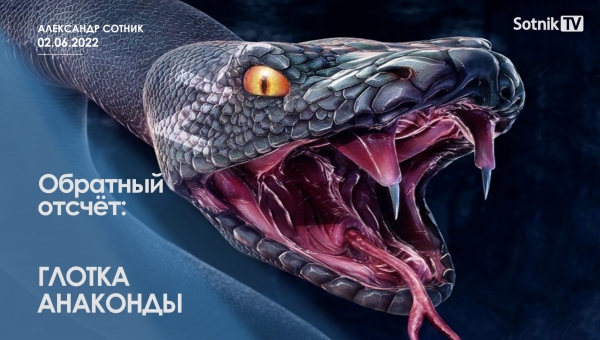 ОБРАТНЫЙ ОТСЧЁТ: ГЛОТКА АНАКОНДЫ